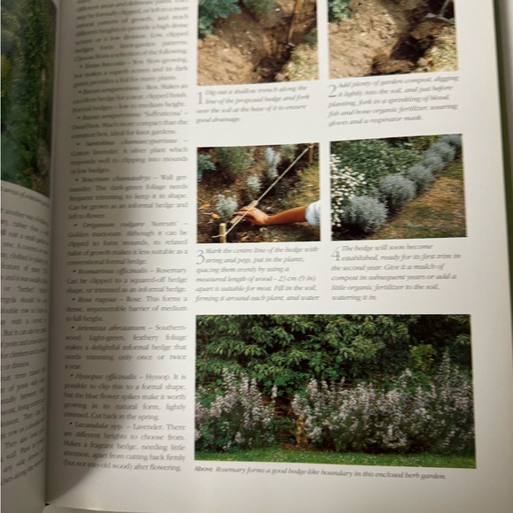 Practical Herb Garden Book - Picture 3 of 5